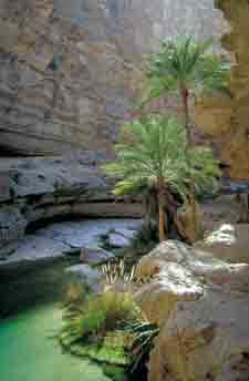 Oman-Sultannate-Sinbad and the Arabian Nights